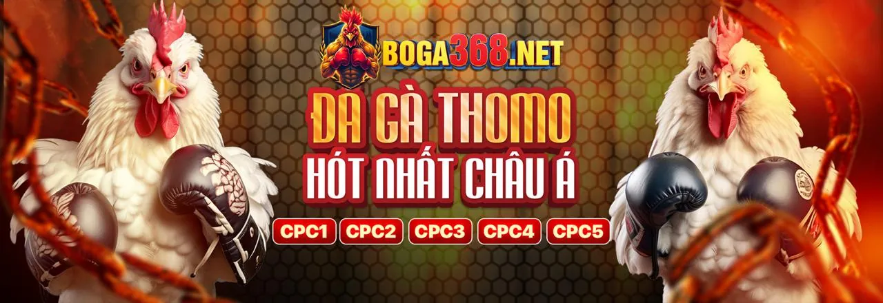 Hình ảnh minh họa các nguyên tắc trách nhiệm cờ bạc tại vmax88 trang chủ
